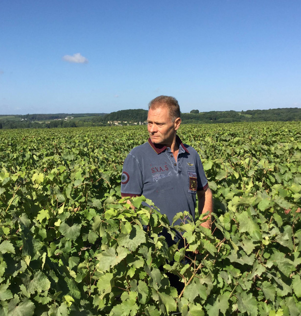 domaine viticole Touraine